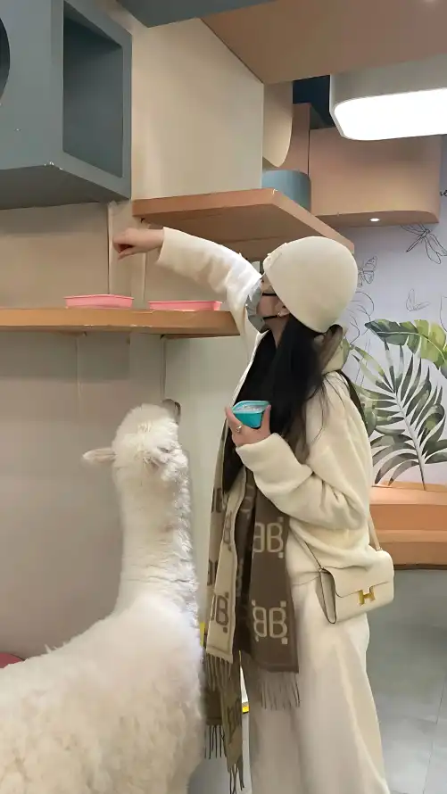 亚洲成AV人片在线观看橙子_中文字幕视频二区人妻_亚洲欧洲日韩综合色天使